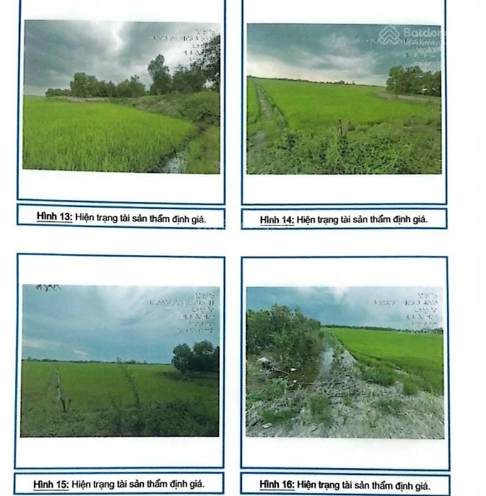 Bán 17.200m2 đất trồng cây hàng năm khác tại x. tân thành, mộc hóa, long an