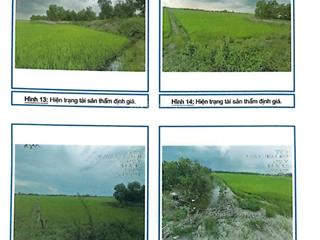 Bán 17.200m2 đất trồng cây hàng năm khác tại x. tân thành, mộc hóa, long an
