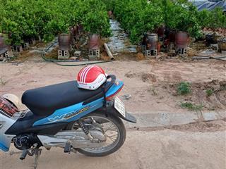 Bán lô góc 139m2 tại hoàng trạch  mễ sở  văn giang, hưng yên.