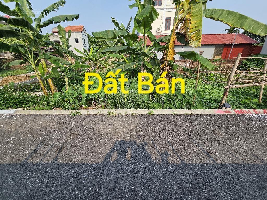 Bán đất chính chủ 45m2 đất đa tốn gia lâm vinhome ecopark, đường ôtô.