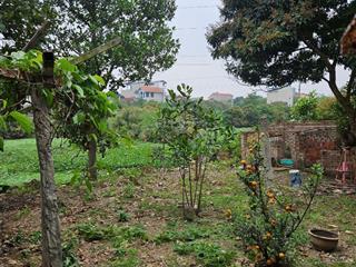 Bán đất vũ lăng ngũ hiệp thanh trì giá 6.x tỷ ( có thương lượng )