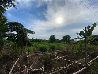 Lô đất diện tích hơn 1000m, mặt tiền rộng, ô tô ra vào thoải mái.