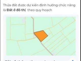 đất 1000m² long tân nhơn trạch – sổ hồng riêng, giá chỉ 3 triệu/m²