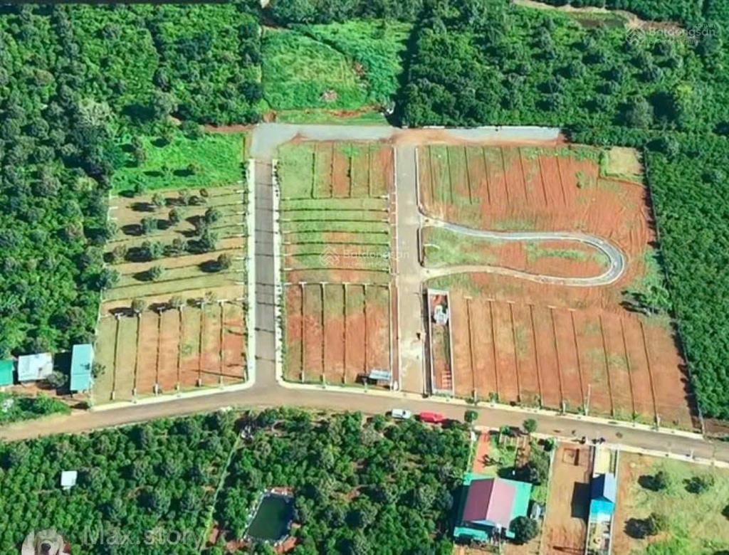 Đón đầu cao tốc cơ hội sinh lời cao khi hạ tầng hoàn thiện