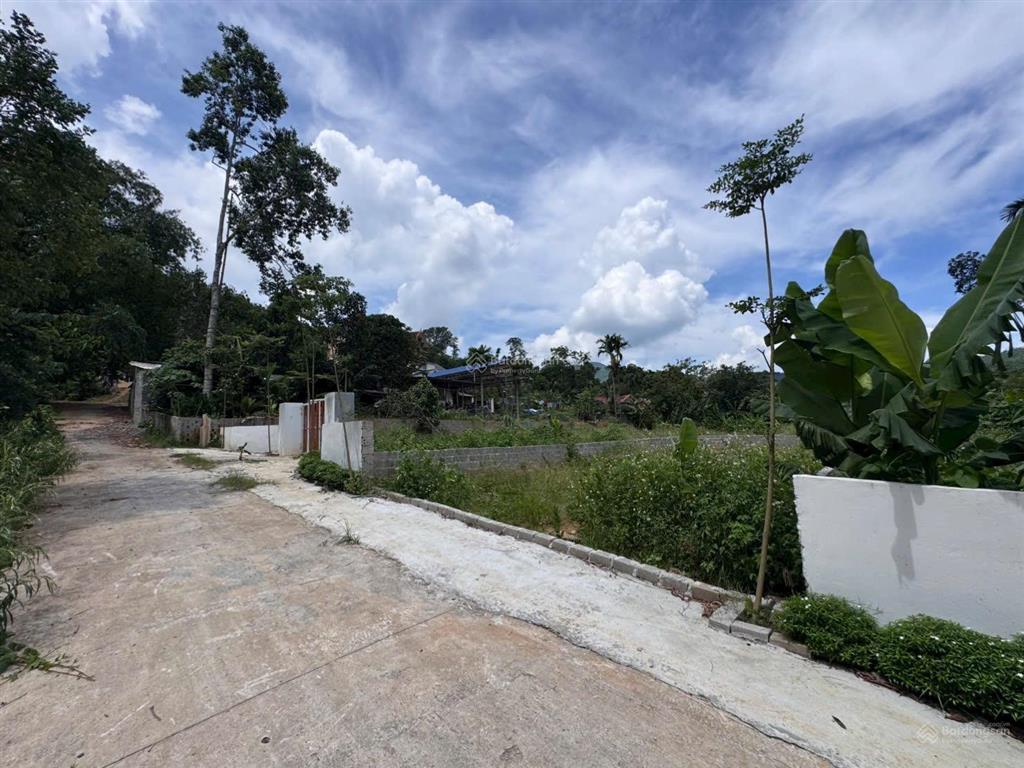 Chính chủ em cần bán không qua mô giới diện tích 154m2  50ont mặt tiền 7m
đường to thông thoáng t