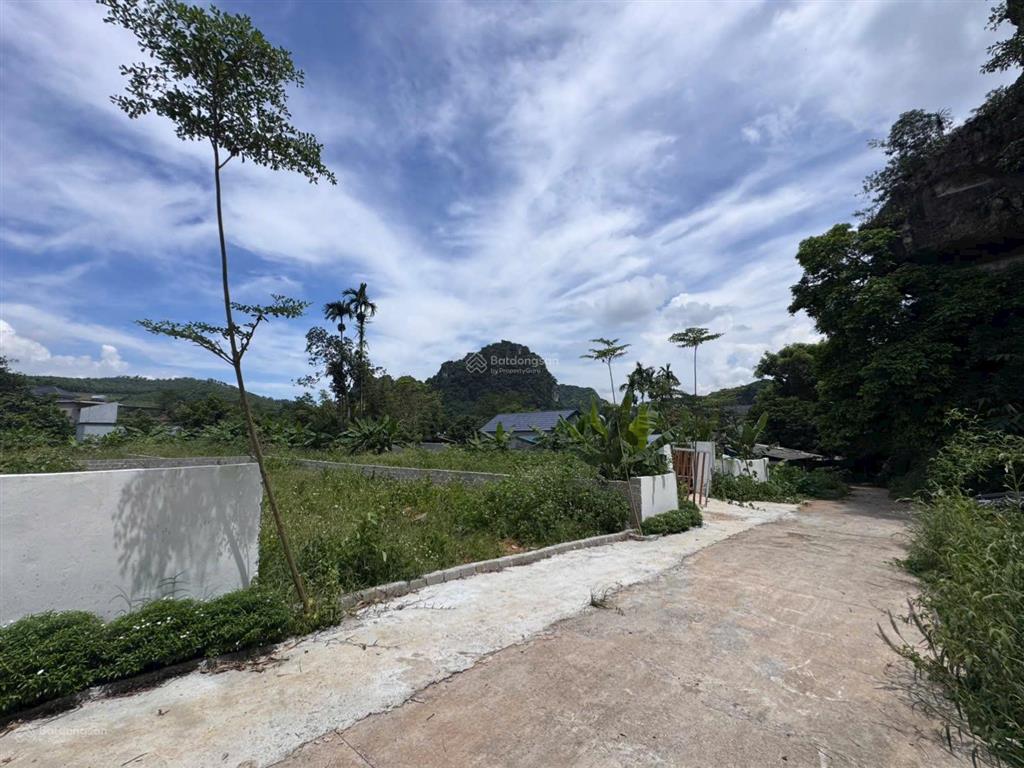 Chính chủ em cần bán không qua mô giới diện tích 154m2  50ont mặt tiền 7m
đường to thông thoáng t