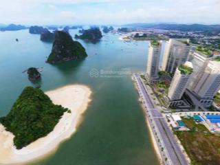 Sở hữu căn hộ hạng sang mặt vịnh bái tử long chỉ từ 1,6 tỷ. tổng chiết khấu khi mua lên đến 16%