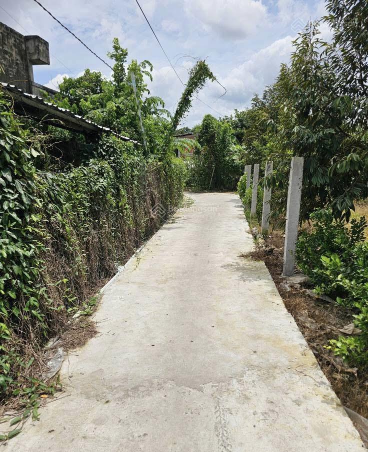 Bán gấp 1493,5 m2 đất vườn chính chủ và hh 2% hỗ trợ