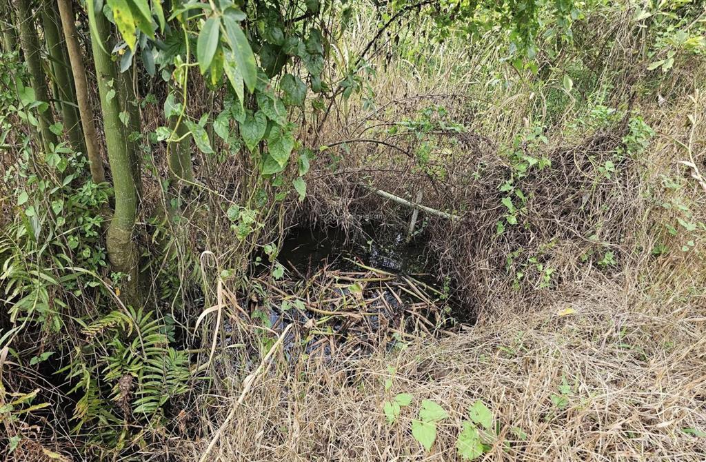 Bán gấp 1493,5 m2 đất vườn chính chủ và hh 2% hỗ trợ