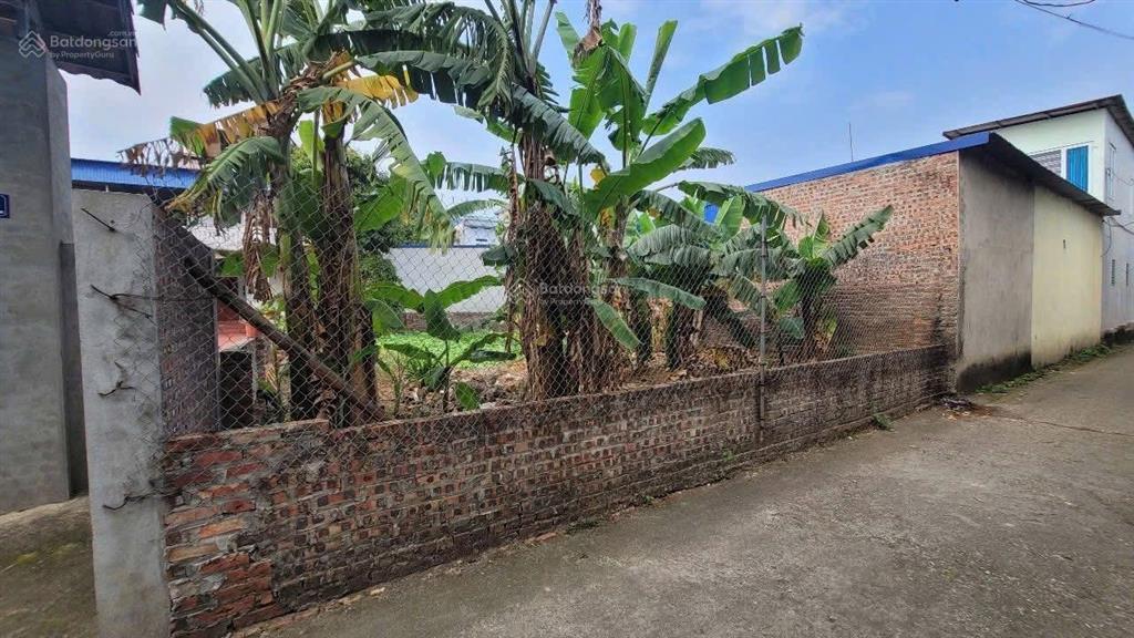 Chính chủ bán 144m tại thôn phú cường minh phú