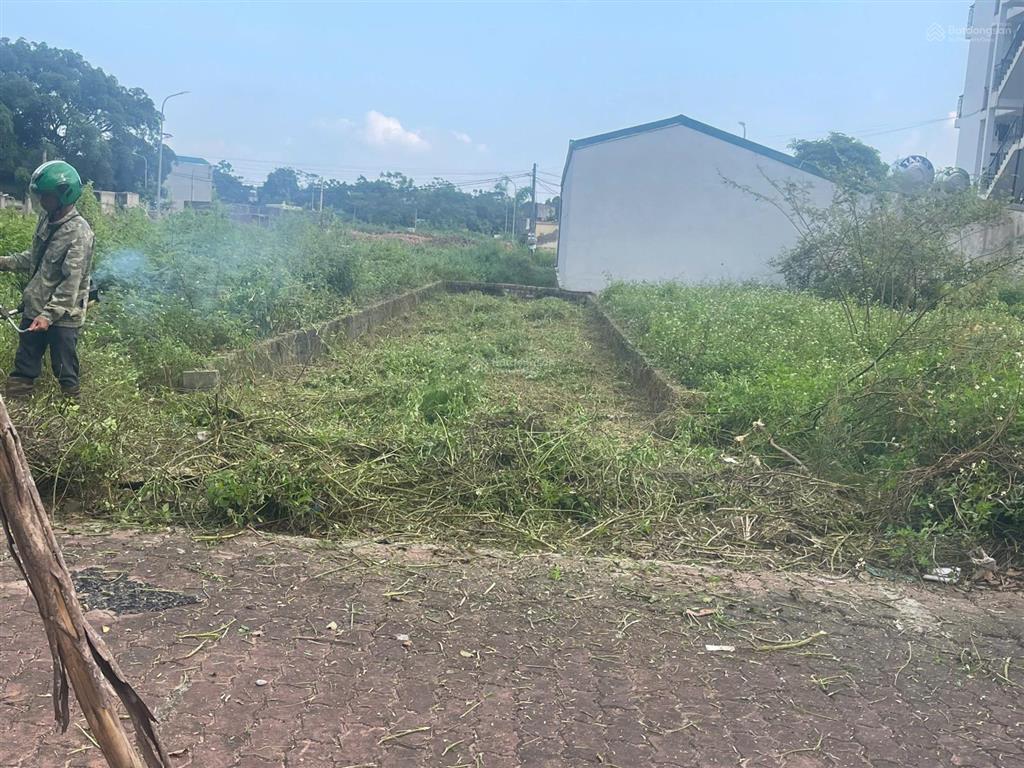 Chính chủ bán đất trục chính mặt đường tỉnh lộ 420