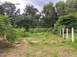 Bán 620m2 đất thổ cư ở ấp bình lương 1, xã bình thạnh, huyện thủ thừa, tỉnh long an