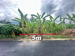 Bán lô đất vườn thổ cư full trồng chuối diên tân, dt 198m2 có 80m2 thổ, ngang 5m, giá 530 triệu
