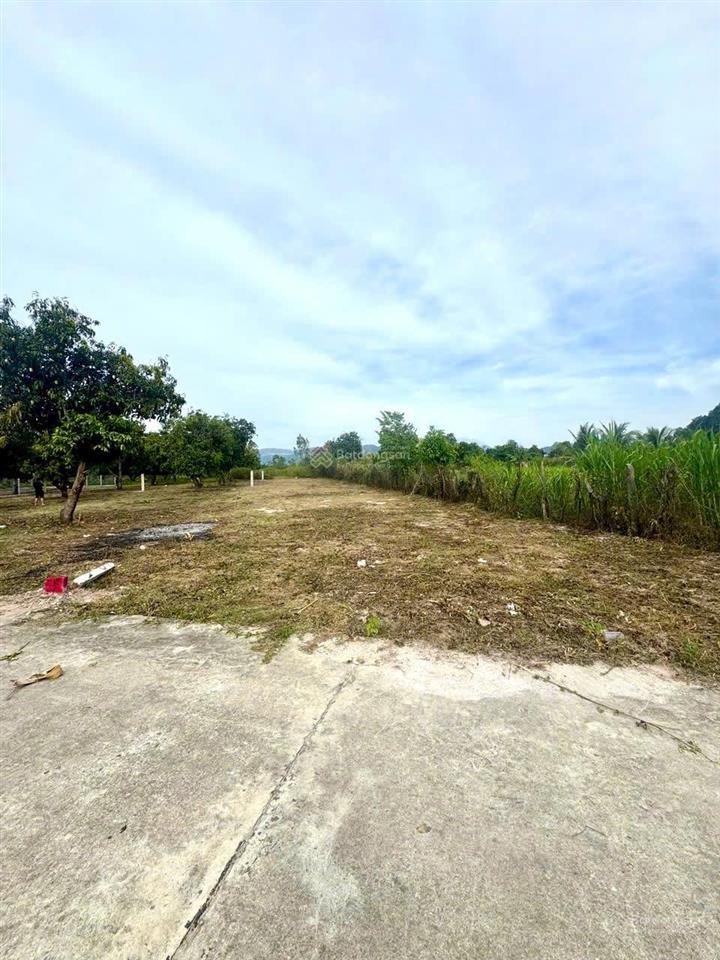 Suối tiên diên khánh full đất ở mà giá chỉ 3tr5/m2 thôi diện tích 568m2 ngang 10m đường bê tông
