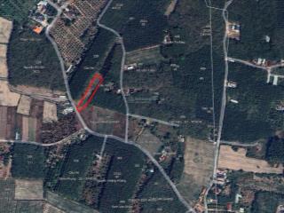 Bán đất tại xã hưng thuận, trảng bàng, tây ninh, giá 2,9 tỷ, diện tích 2461 m2  uy tín hot!