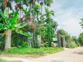 Kẹt tiền bán lỗ đất mặt tiền đường dx 017, cẩm thanh, thành phố hội an