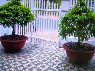 Nhà nhà mặt tiền đường tôn đức thắng, phường an hòa tp sađéc, quảng trường tp sađéc, tỉnh đồng tháp