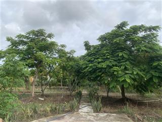 Cho thuê biệt thự củ chi 3 tầng 300m2 trên đất 2600m2. hợp quán ăn sân vườn, ở nghỉ dưỡng, homestay