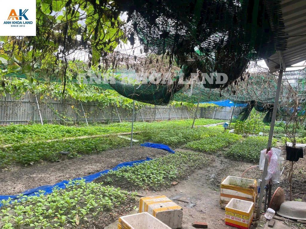 8 tỷ cho lô đất siêu hiếm mặt tiền đường 79, cạnh vành đai 2 136,7m2 ngang 5,11m