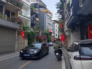 Tuyệt phẩm nhà tại nghĩa dũngba đình, khu phân lô, oto đỗ cửa, vài bước ra phố, 41m, 4t, 9,3 tỷ