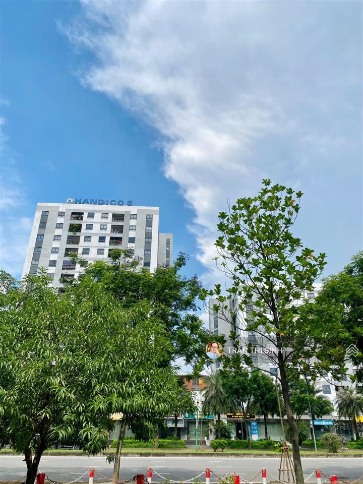 Phân lô giang biên, thông số kim cương, ô tô  vỉa hè, thông bàn cờ hiếm