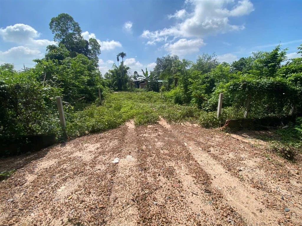 Đất đẹp thổ cư gò dầu tây ninh shr mt nhựa giá chỉ 650 triệu 181m2