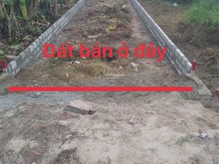 Bán gấp đất tại nguyễn văn khạ, tân an hội, củ chi, hcm, 125m2
