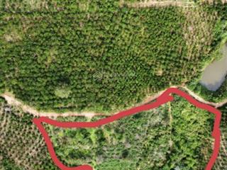 Đất trồng cây lâu năm, tổng diện tích 8889m2, tại thị trấn đinh văn, giá bán 250 triệu/sào