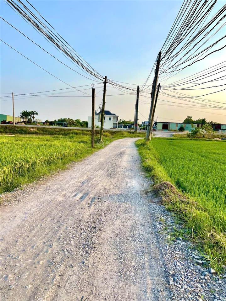 Bán đất 1 sẹc 823d, gần vành đai 3 hcm, dt lớn, view thoáng, 1347m2