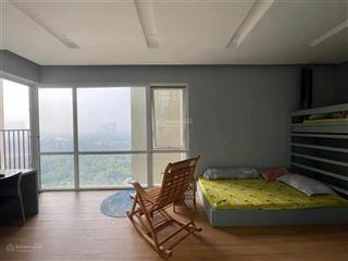 Rẻ nhất bán căn sky villa rừng cọ tòa trung tâm ecopark dt 154m2, giá chỉ 7.5 tỷ