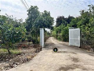 Chủ kẹt tiền bán gấp đất vườn định quán, có sẵn nhà thô, giá rẻ nhất khu vực chỉ 700tr sở hữu ngay