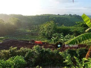 Duy nhất 1 lô view đồi siêu chill 1400m² giữa thiên nhiên. chỉ 1 triệu/m². sở hữu đầu tư ngay