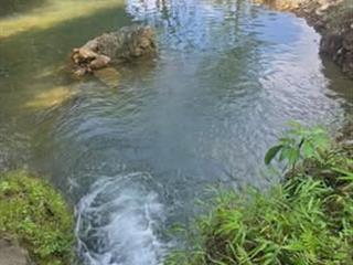 Cơ hội vàng sở hữu mảnh vườn gần sân bay long thành. giá chỉ 790 triệu/sào. cơ hội đầu tư sinh lời