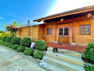 Chỉ 250tr/sào sở hữu ngay homestay nghỉ dưỡng 12.000m2 tại định quán đồng nai