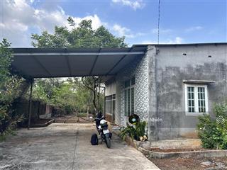 Em có miếng đất vườn nghỉ dưỡng 3.800m² ở thống nhất  đồng nai, muốn nhượng lại