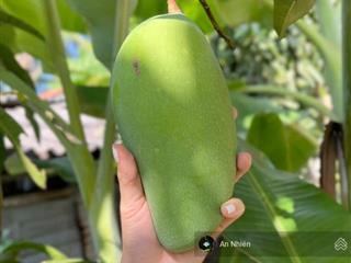 Nhượng lại mảnh vườn tâm huyết giá trị sống không thể đong đếm