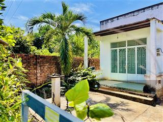 Chủ định cư nước ngoài cần bán gấp vườn 3.500m² gần tp long khánh giá chỉ 1,9 triệu/m²