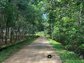 Cần bán gấp lô đất vườn đẹp có thổ cư giá chỉ 900 triệu định quán đồng nai