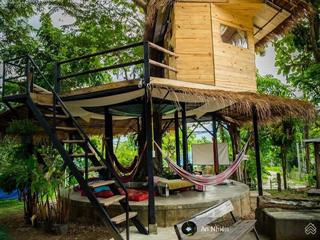 Chính chủ gửi bán gấp mảnh vườn 1.180m giá chỉ 1 tỷ, sổ sẵn sang tên nhanh trong ngày
