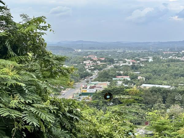 Chính chủ bán gấp vườn 1.080m view hồ trị an, sau có suối cách ql20 chỉ vài bước