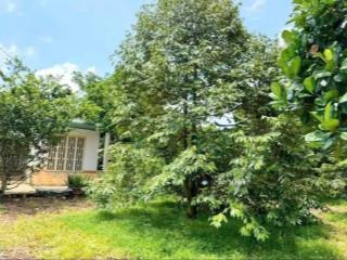 Nhà vườn thống nhất, 3.750m² (đã phủ hồng toàn bộ) giá chỉ 1tr8/m2