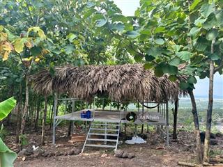 Siêu phẩm đất vườn view suối, giáp suối view đồi đón gió hồ trị an, chỉ 860 triệu