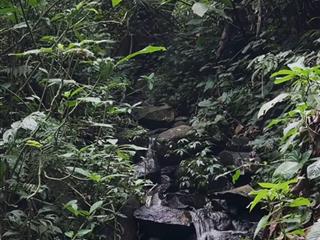 Sở hữu ngay mảnh vườn nghỉ dưỡng giáp suối, view đồi, đón gió hồ trị an