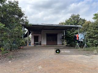 Bán gấp nhà vườn 3.700m² gần sân bay long thành giá chỉ 1,9 triệu/m² có 300m² thổ cư