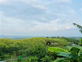 Siêu phẩm nghỉ dưỡng view đẹp định quán, đồng nai