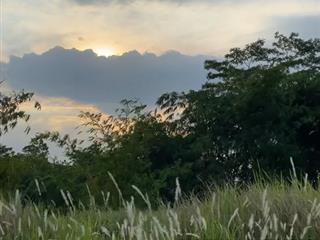 Vườn nghỉ dưỡng gần hồ trị an,view đồi mát rượi, sau đất giáp suối trong lành