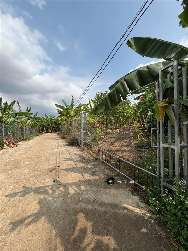 Chủ cần tiền bán gấp vườn cây ăn trái gần dầu giây thống nhất, đồng nai