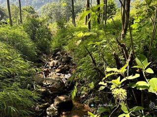 Chính chủ bán mảnh vườn đẹp view hồ trị an, đảo ó gần đức mẹ núi cúi