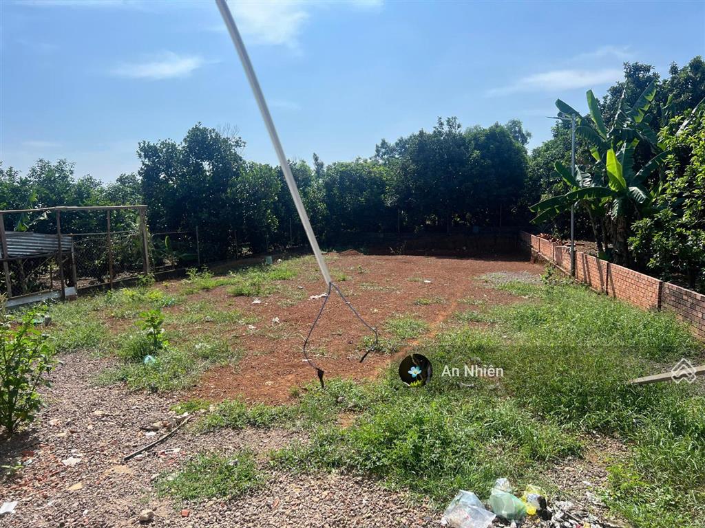 Chính chủ bán gấp nền thổ cư 100m² giá chỉ 625 triệu ngân hàng hỗ trợ vay nhanh