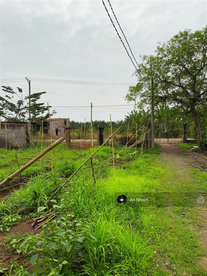 Chính chủ bán gấp nền thổ cư 100m² giá chỉ 625 triệu ngân hàng hỗ trợ vay nhanh